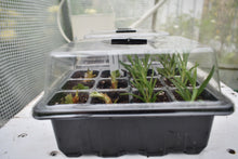 Load image into Gallery viewer, Seed Starting Tray